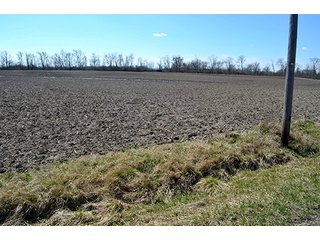 Property photo 72 - LAND AUCTION - 215+/- ACRES OFFERED IN 6 TRACTS IN VAN WERT COUNTY, OHIO